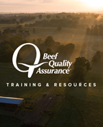 BQA