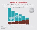 reduce emissions