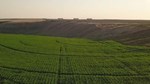 Farm Inside A Farm