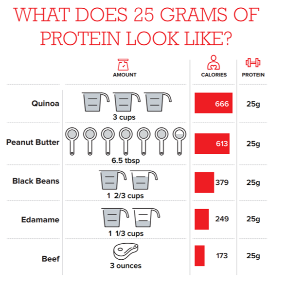 Infographic 25g Protein