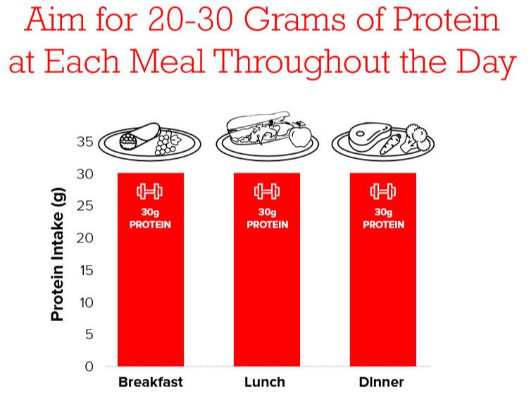 infographic-protein-throughout-the-day.png?width