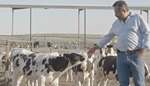 Ricardo and calf