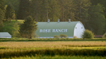 roseranch_11.png
