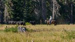 Teanaway