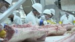 WABeef Plant 1